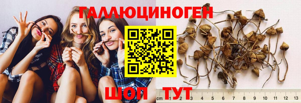Псилоцибиновые грибы GOLDEN TEACHER  Псилоцибиновые грибы ЛСД  Радужный  Вход с VPN 